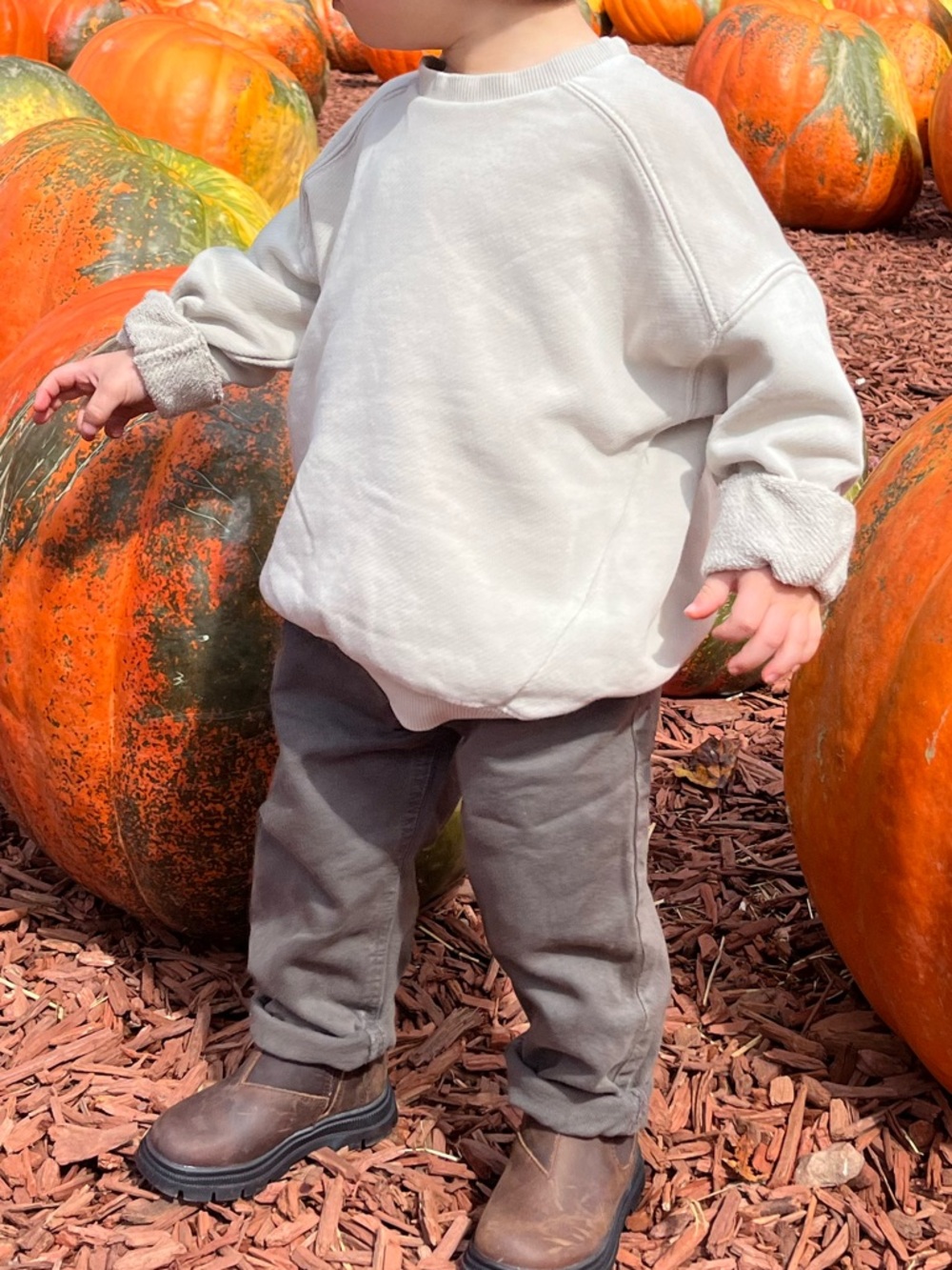 Zara Toddler Tan Sweatshirt